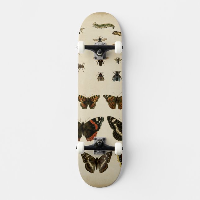 Garden Insects by Vision Studio Skateboard (Front)