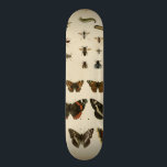 Garden Insects by Vision Studio Skateboard<br><div class="desc">This Vision Studio piece is an entomologists dream! Garden insects are drawn on a cream background,  shown in achingly beautiful detail. If you love insects this is the print for you!</div>