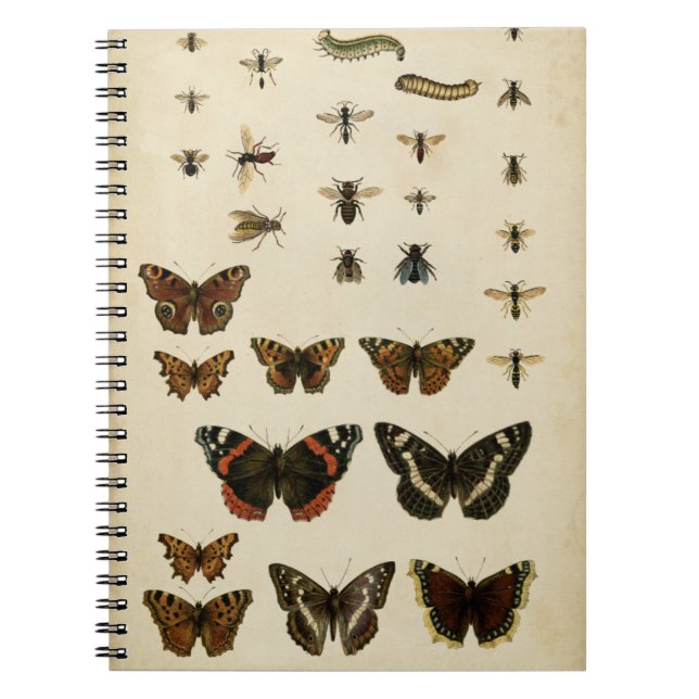 Garden Insects by Vision Studio Spiral Notebook (Front)