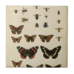 Garden Insects by Vision Studio Tile<br><div class="desc">This Vision Studio piece is an entomologists dream! Garden insects are drawn on a cream background,  shown in achingly beautiful detail. If you love insects this is the print for you!</div>
