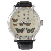 Garden Insects by Vision Studio
