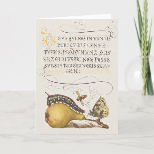 Garden Insects, Fly, Caterpillar, Pear, Centipede Card