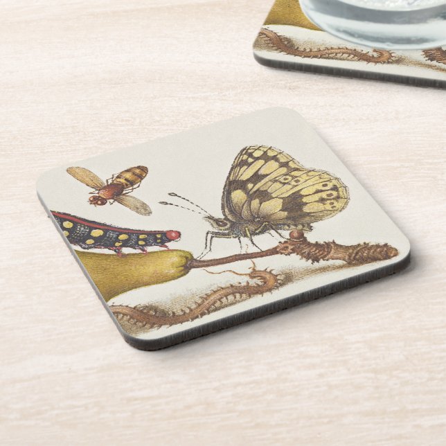 Garden Insects, Fly, Caterpillar, Pear, Centipede Coaster (Left Side)