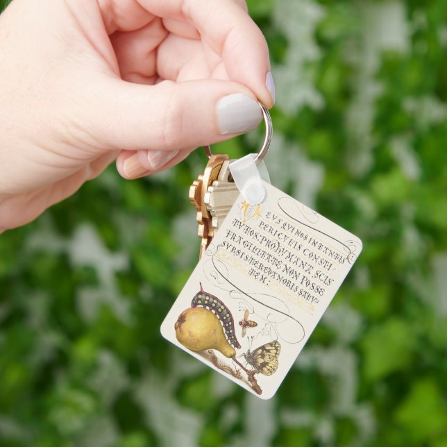 Garden Insects, Fly, Caterpillar, Pear, Centipede Key Ring (Hand)
