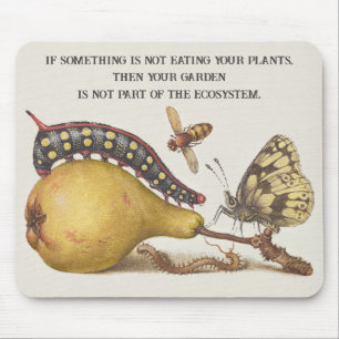 Garden Insects, Fly, Caterpillar, Pear, Centipede Mouse Pad
