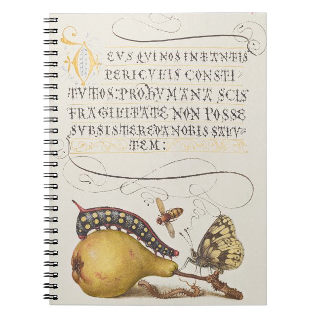 Garden Insects, Fly, Caterpillar, Pear, Centipede Notebook (Front)
