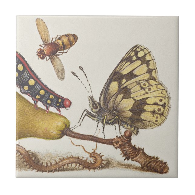 Garden Insects, Fly, Caterpillar, Pear, Centipede Tile (Front)