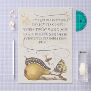 Garden Insects, Fly, Caterpillar, Pear, Centipede Tissue Paper