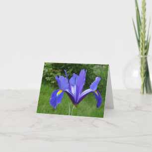 Garden Iris Note Card