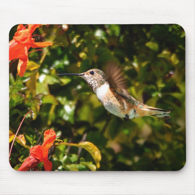 Garden Jewel: Hummingbird in Bloom Mouse Pad (Front)