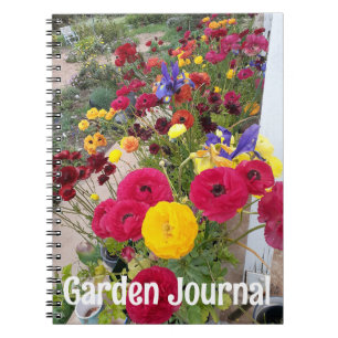 Garden Journal Rannunculus Red Spring Flowers
