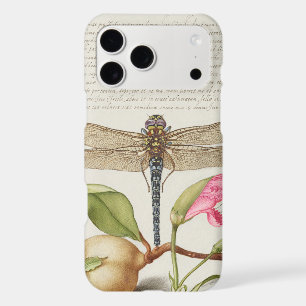 Garden life, Dragonfly, Pear, Carnation and Insect