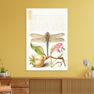 Garden life, Dragonfly, Pear, Carnation and Insect Canvas Print