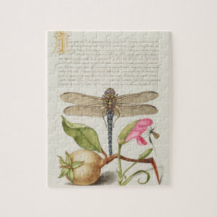 Garden life, Dragonfly, Pear, Carnation and Insect Jigsaw Puzzle