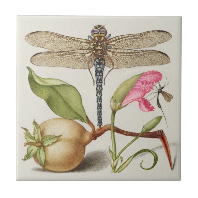 Garden life, Dragonfly, Pear, Carnation and Insect Tile (Front)