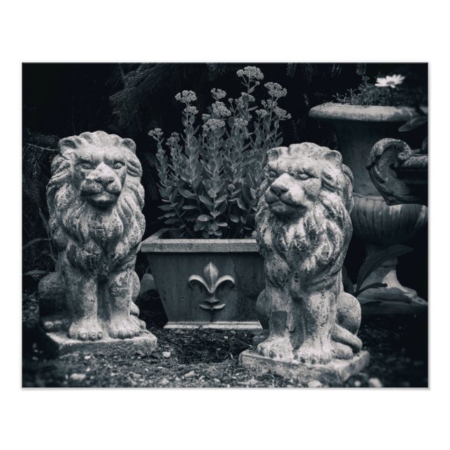 Garden Lions Photo Print (Front)