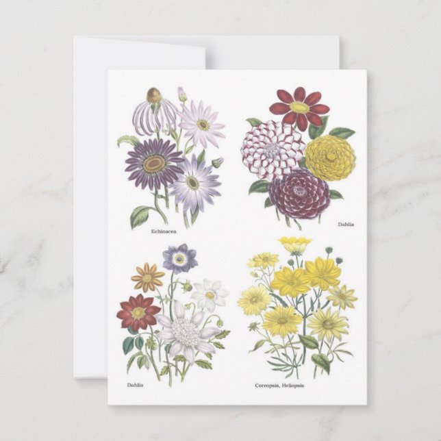 Garden Luncheon Invitation (Front)