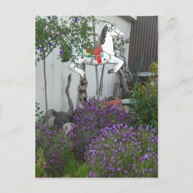 Garden next to General Store near Big Sur Postcard (Front)