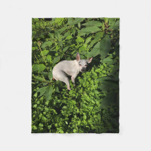 garden nymph pearl fleece blanket