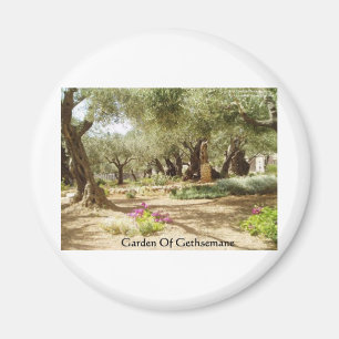 Garden Of Gethsemane Christian Gifts Tees Cards Magnet