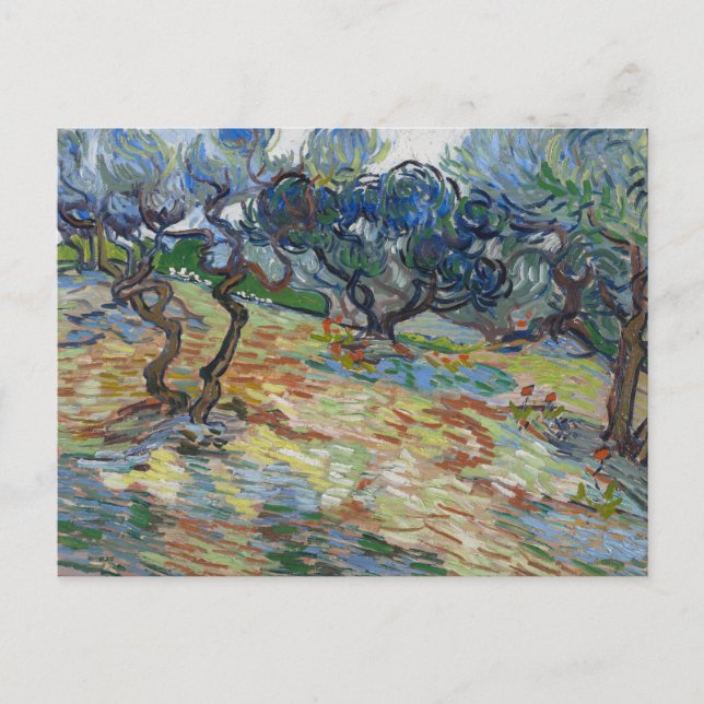 Garden of Gethsemane, Mount of Olives by van Gogh Postcard (Front)