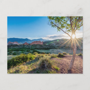 Garden Of Gods Tree Sunburst Postcard