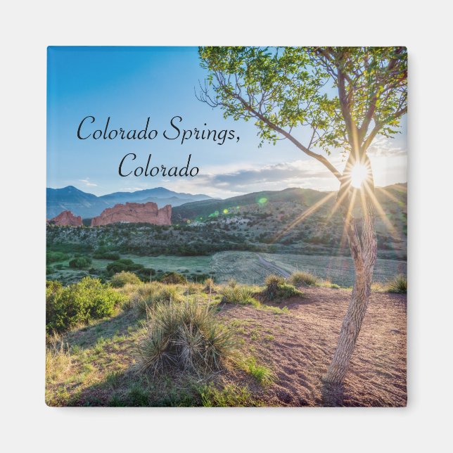 Garden Of Gods Tree Sunburst Square Magnet (Front)
