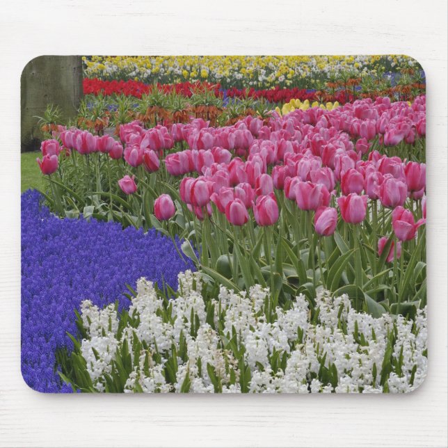 Garden of grape hyacinth, hyacinth and tulips, mouse pad (Front)