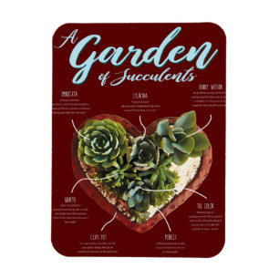Garden Of Succulents Magnet