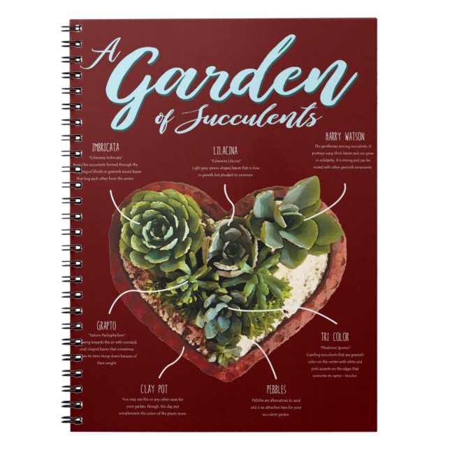 Garden Of Succulents Notebook (Front)