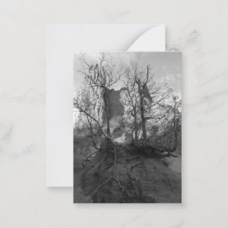 Garden of the Gods Colorado Park Photo Note Card