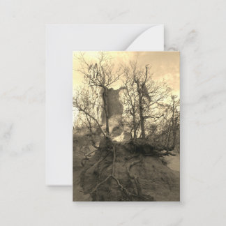Garden of the Gods Colorado Park Photo Note Card