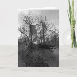 Garden of the Gods Colorado Park Photograph Card