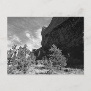 Garden of the Gods Park Colorado Landscape Postcard