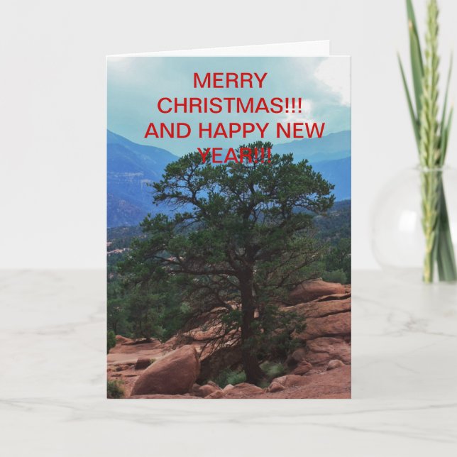 Garden of the God's Tree  Christmas CARD (Front)