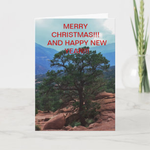 Garden of the God's Tree Christmas CARD