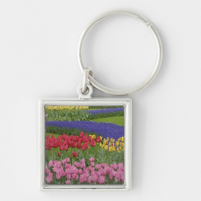 Garden of tulips, Grape Hyacinth and Key Ring (Front)