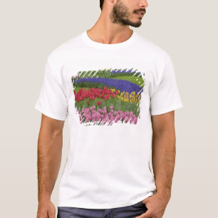 Garden of tulips, Grape Hyacinth and T-Shirt