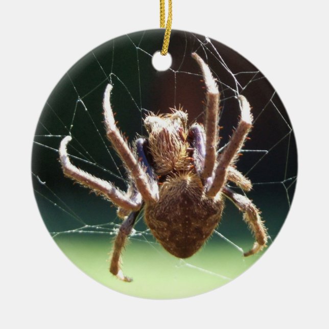 Garden Orb Weaver Spider Ornament (Front)