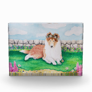 Garden Party Photo Block