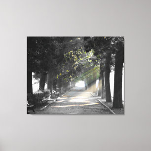 Garden Path Canvas Print