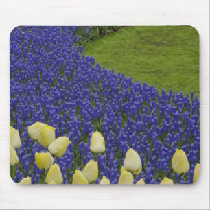 Garden pattern of Grape Hyacinth flowers and 2 Mouse Pad