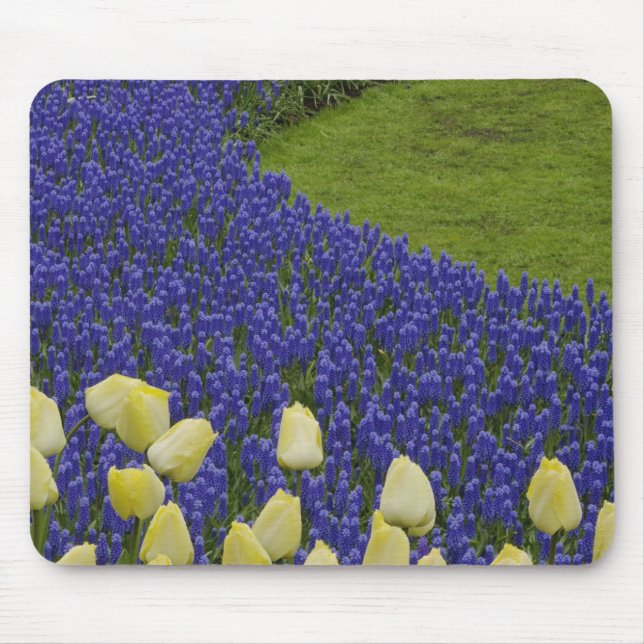 Garden pattern of Grape Hyacinth flowers and 2 Mouse Pad (Front)
