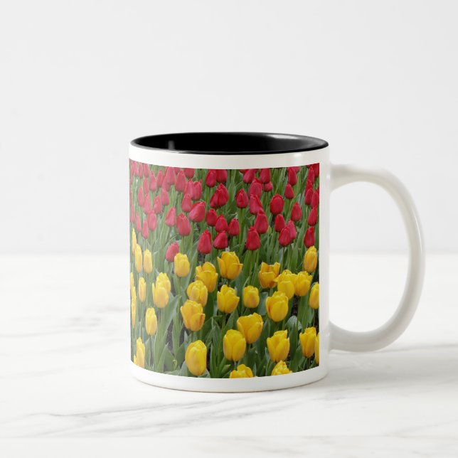 Garden pattern of tulips, Keukenhof Gardens, 2 Two-Tone Coffee Mug (Right)