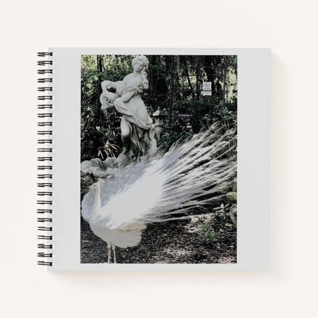 Garden Peacock Spiral Notebook (Front)