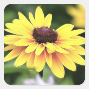 Garden Perfection - Black Eyed Susan Square Sticker