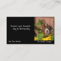 Garden Photography Butterfly Wings Dog