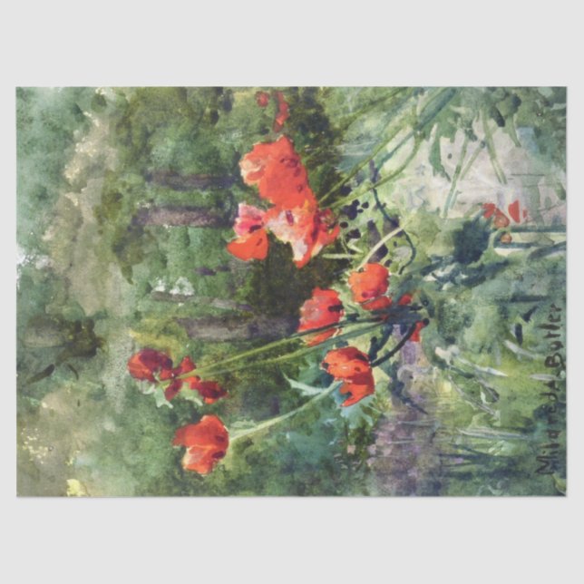 Garden Poppies (by Mildred Anne Butler) Tissue Paper (Front)