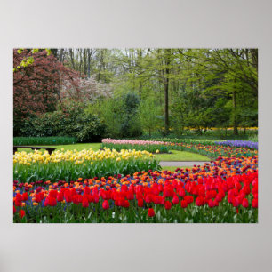 Garden Poster