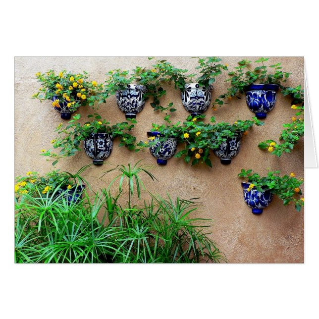 Garden Pots (Front Horizontal)